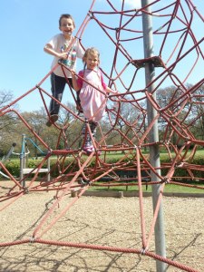 Conquer the entangling web of frustration!