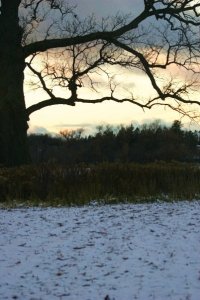 Because of the Lord’s great love we are not consumed, for his compassions never fail. They are new every morning.